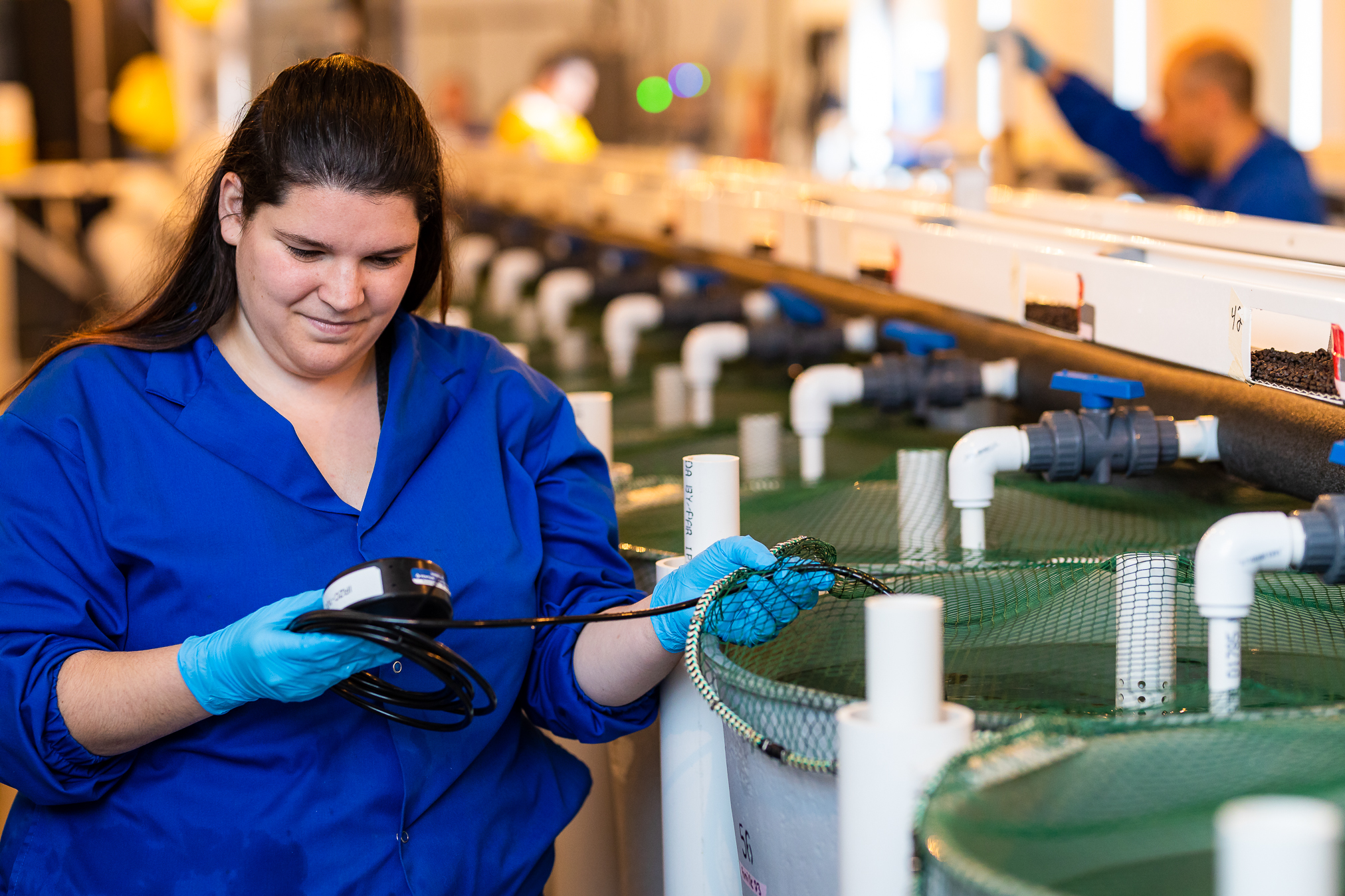 Arctic Char, the Salmonid of Tomorrow